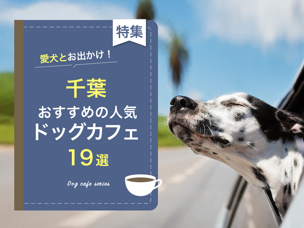 【千葉県】愛犬同伴！おすすめのドッグカフェ人気ランキング19選